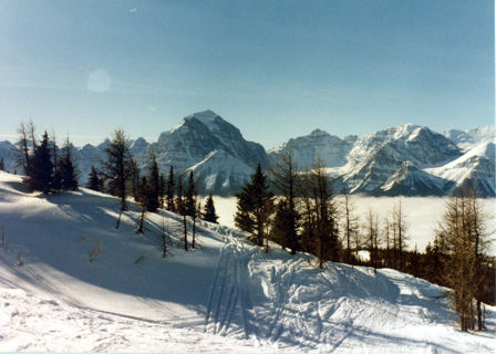 Ski Area