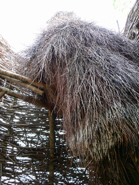 Animal Houses