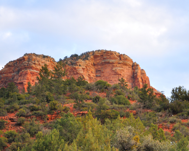 Coconino