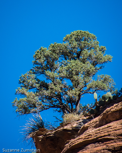 Fey Canyon