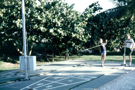 shuffleboard