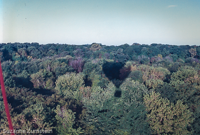 over a wooded area balloon
