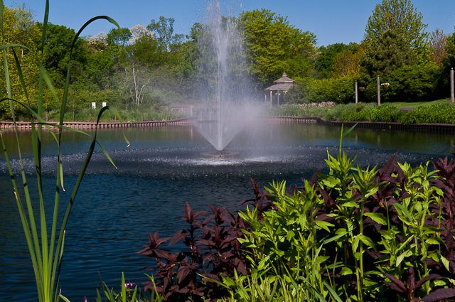 fountain