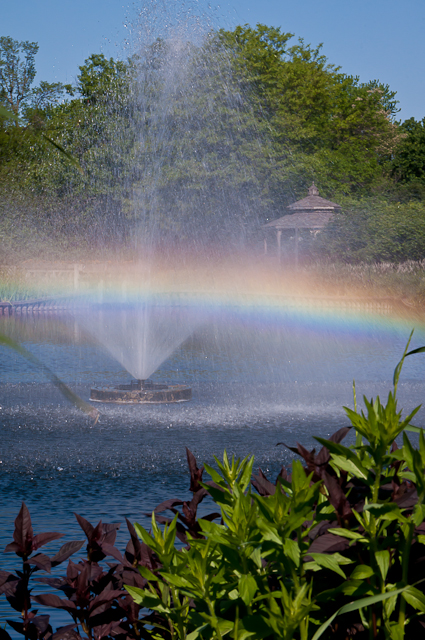 fountain