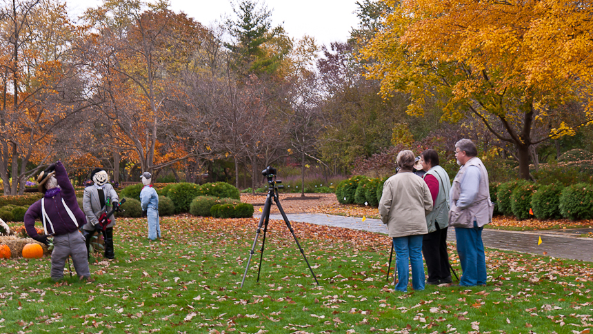 Cantigny