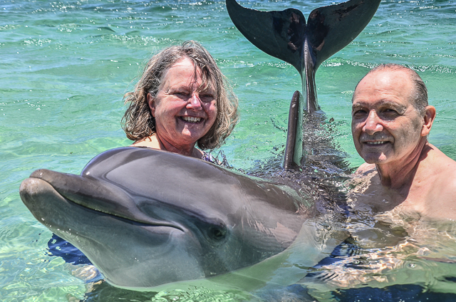 Dolphin