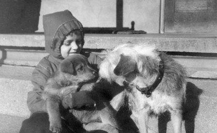 two dogs and a girl
