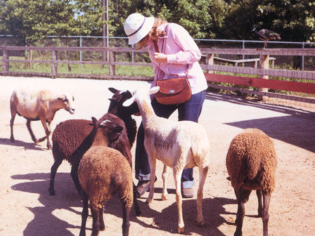 goat farm