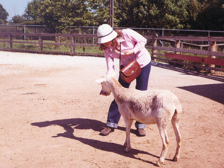 goat farm