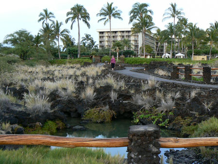Waikoloa