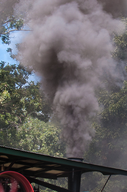 Steam Show