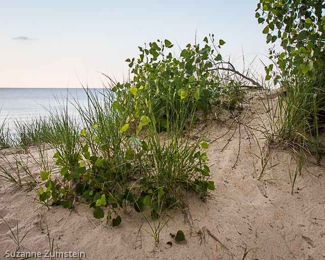 Indiana Dunes
