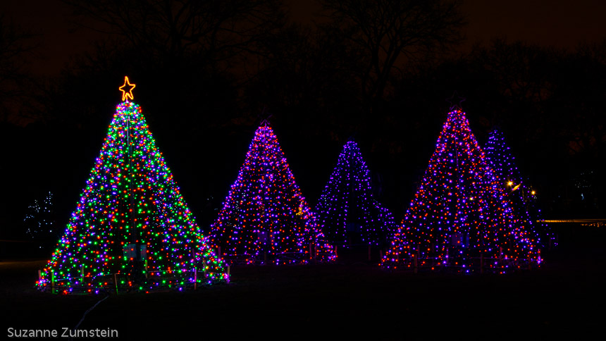 Holiday Magic