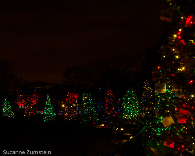 Holiday Magic