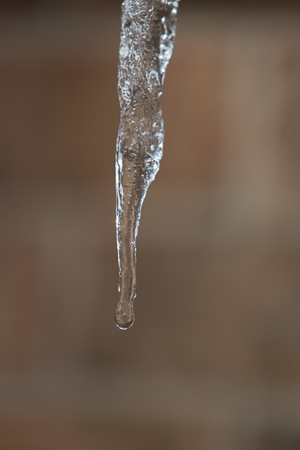 icicle