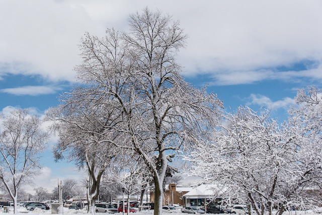 snow