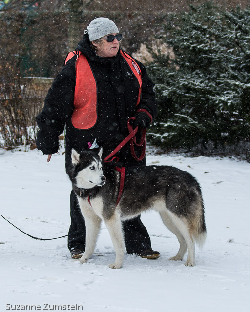 husky