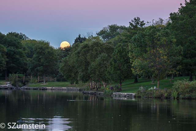 moon rise