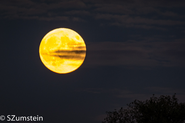 moon rise