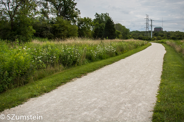 Prairie Plants