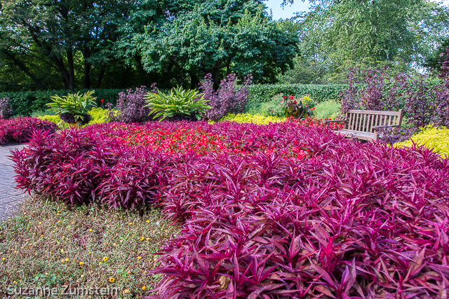 Cantigny