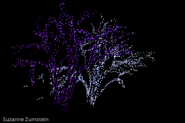 Illuminations
