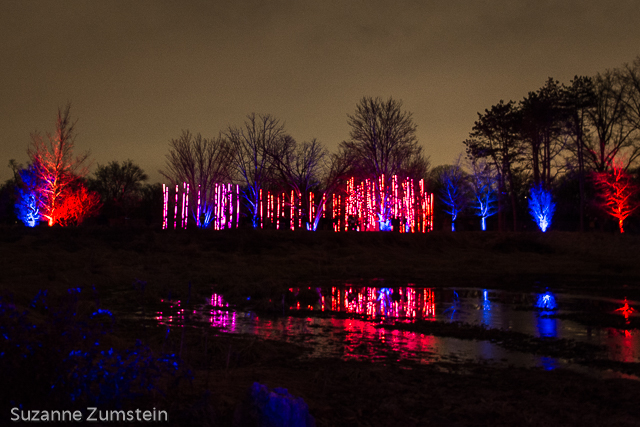 Illuminations