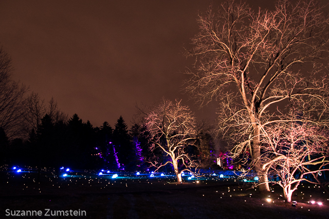 Illuminations