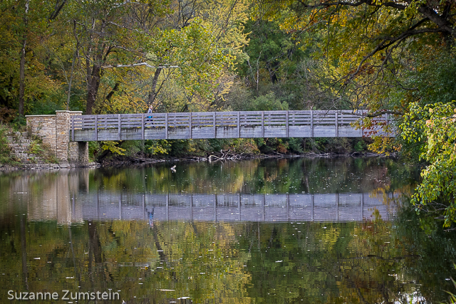 Fullersburg Woods