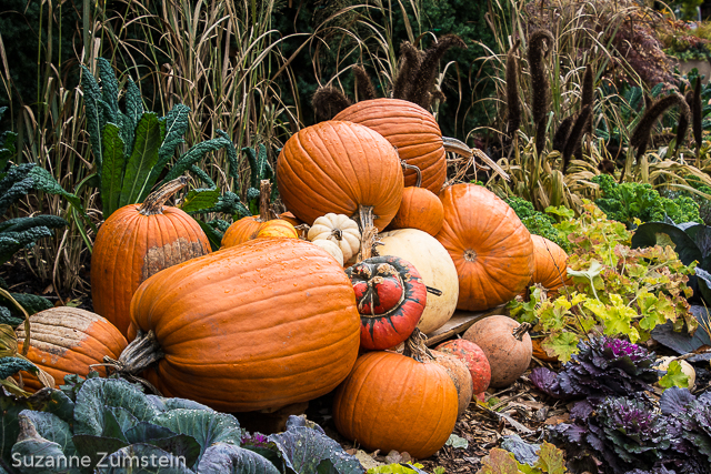 Fall Display