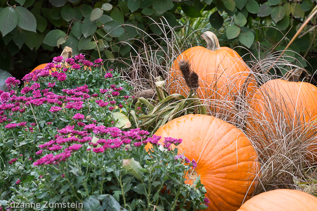 Fall Display
