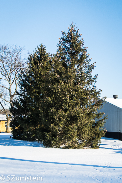 St James Farm