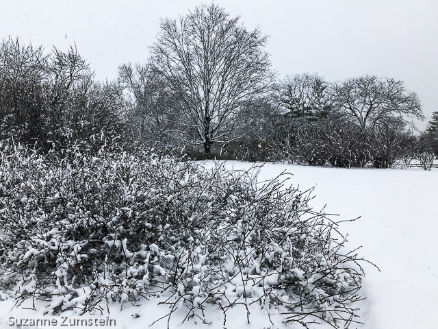 April Snow