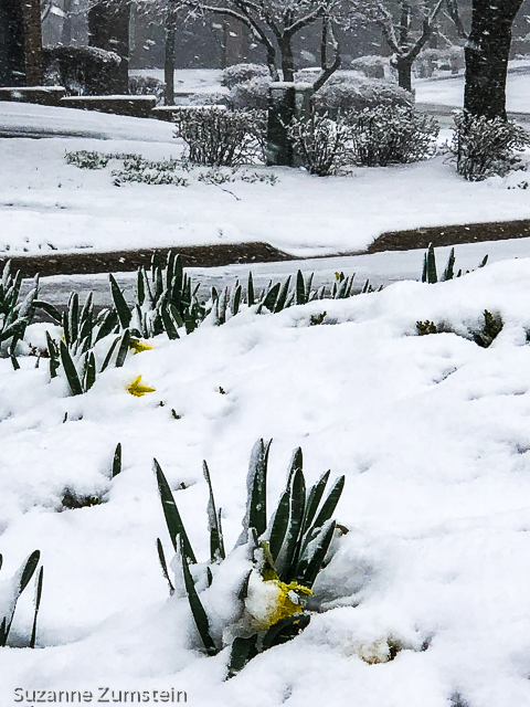 April Snow