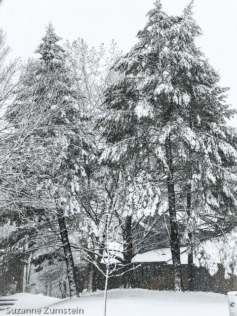 April Snow