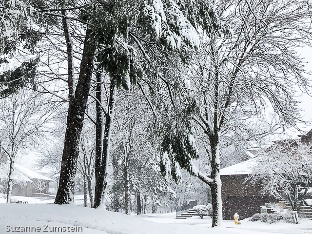 April Snow