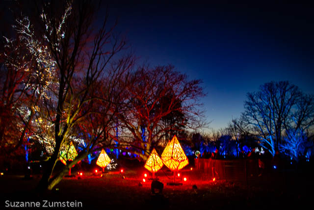 Illuminations