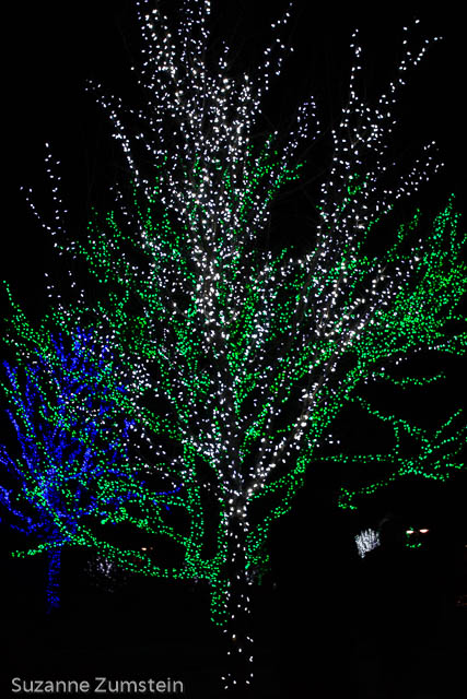 Illuminations