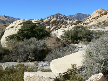 Red Rock Canyon