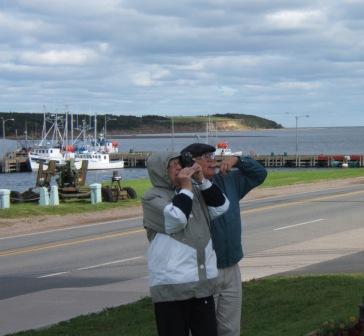 taking picture
