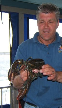 lobster