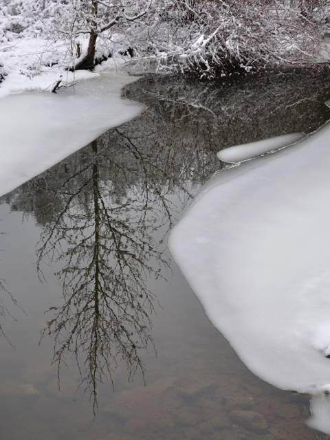 February snow