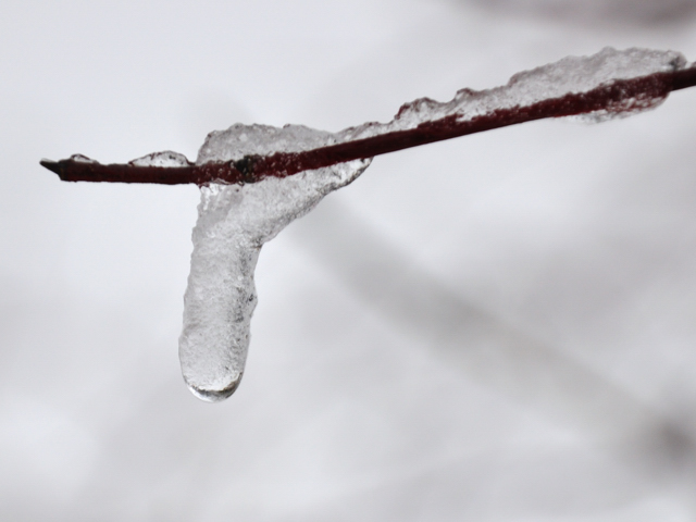 February snow