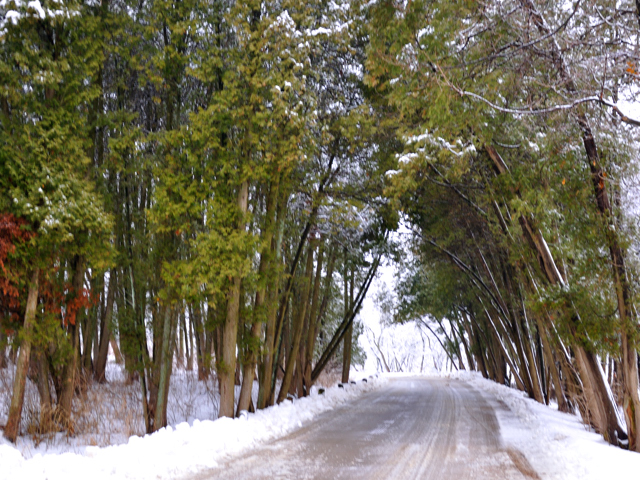 February snow