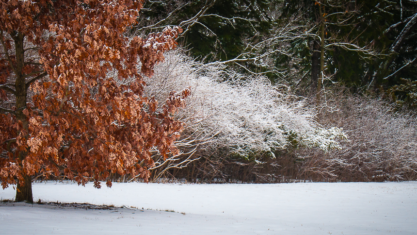 snow