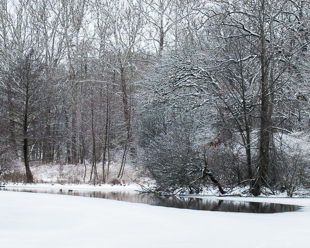 snow