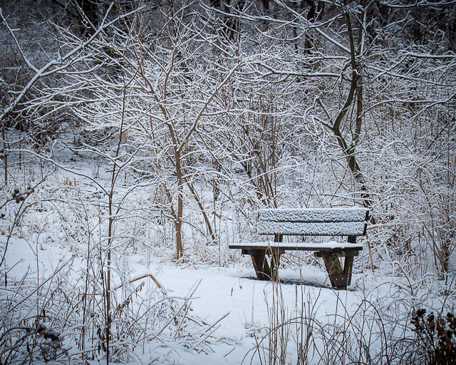 snow