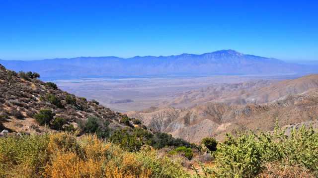 Joshua Tree