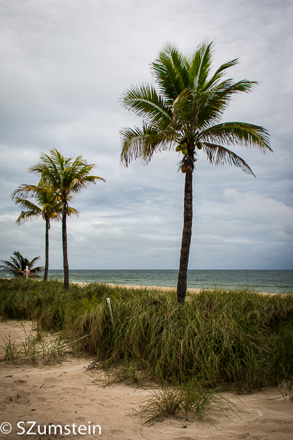 beach
