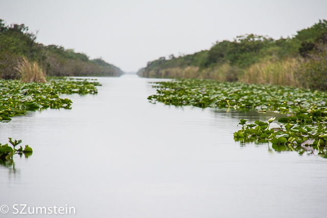 Everglades